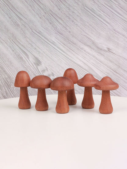 Wooden Mushroom Toy